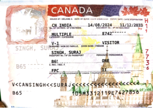 lal singh suraj singh page 1